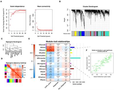 A Cancer Associated Fibroblasts-Related Six-Gene Panel for Anti-PD-1 Therapy in Melanoma Driven by Weighted Correlation Network Analysis and Supervised Machine Learning